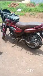 Honda shine