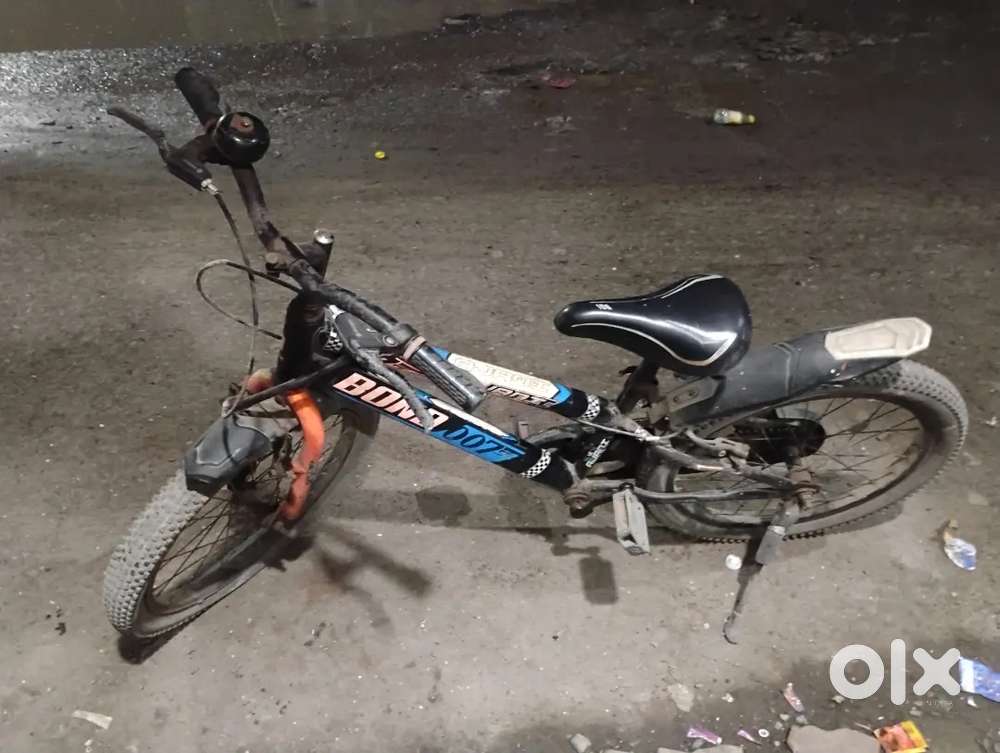 2 cycle badi cycle 1900 aur ek choti 1500