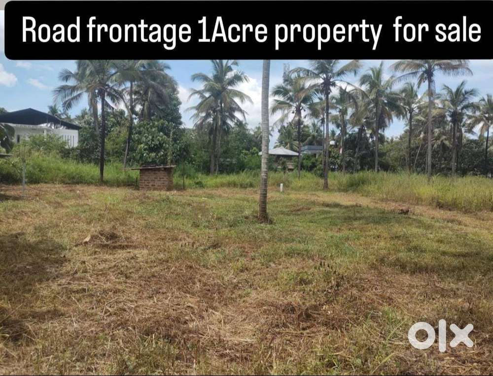 (10 cent to 1 Acre) plots for sale Avanoor Thrissur .