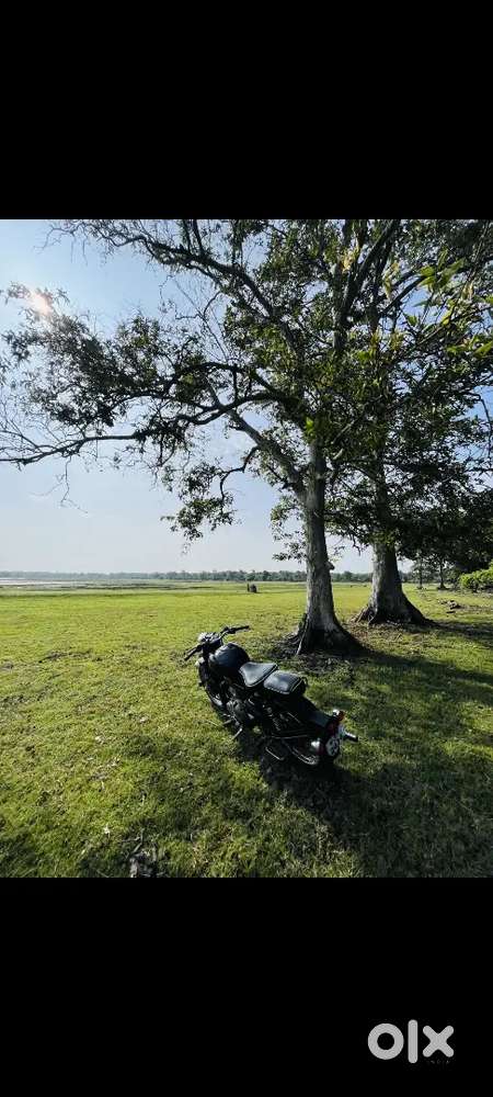 Royal Enfield classic 350 model -2018 owner -3