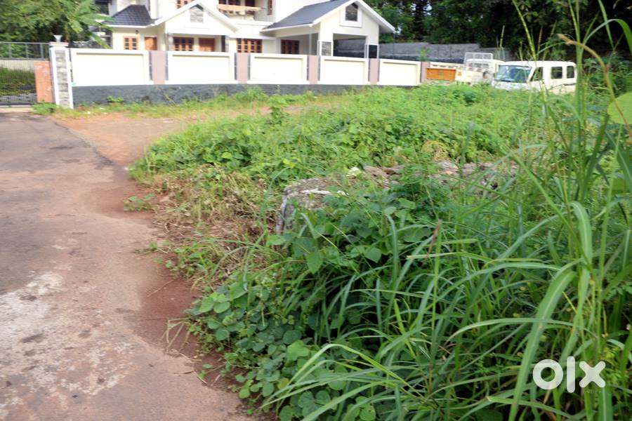 House plot 8.6 cents near Ammancherry-Caritas 5.25 lakh/cent