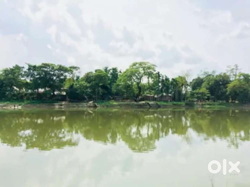 14 বিঘা পুকুর বিক্রি আছে। দাম - 2 cr