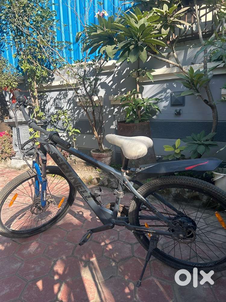 Electric caycle  with charger , bag and in the light horn is also