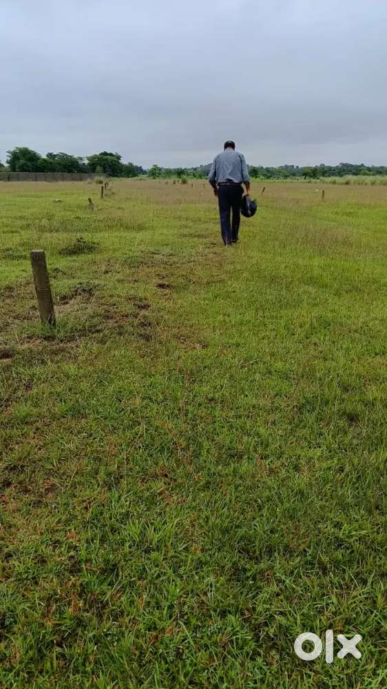 Cnt free plot at kawali thana eklavya school k near