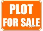 2640 sqft plot available for sale in raita road,bhakshi ka talaab,lko.