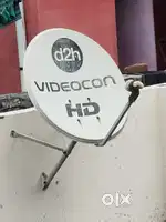 Dish Antenna