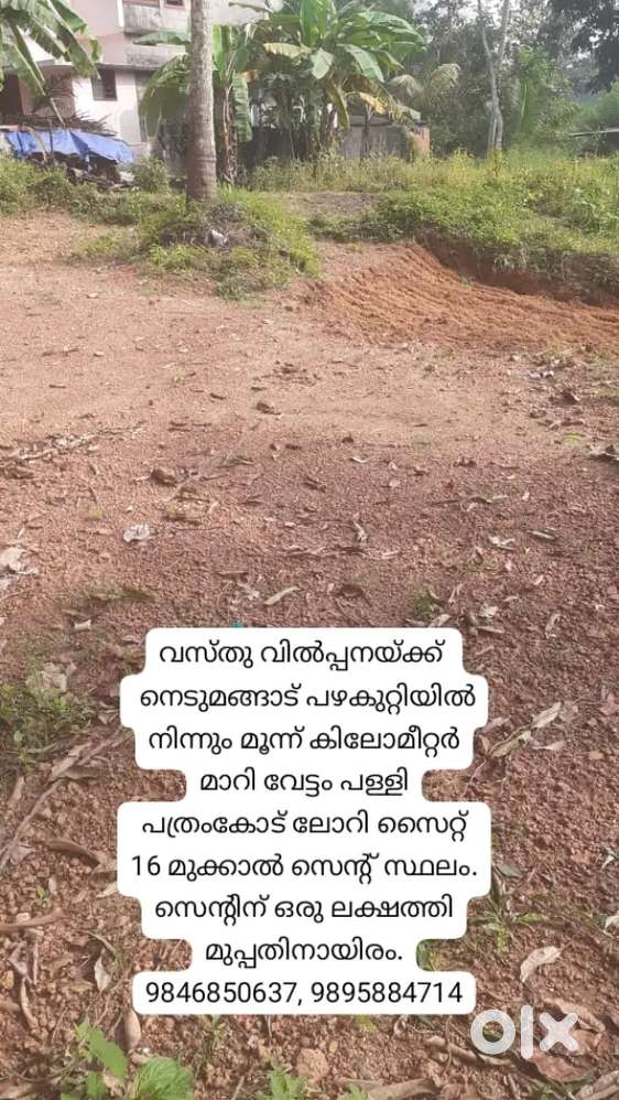 Urgent sale 16 (3/4) cent in Nedumangad