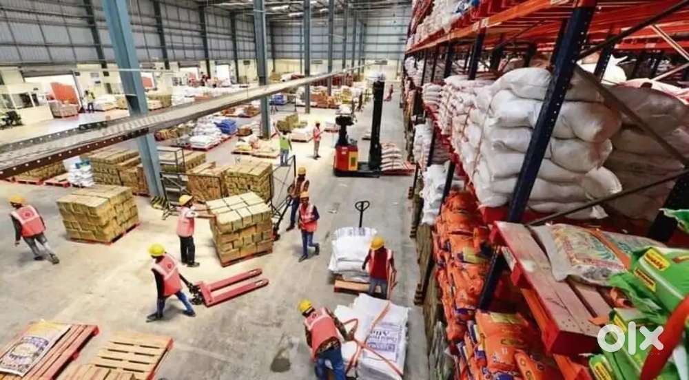 Warehouse job vaccany
