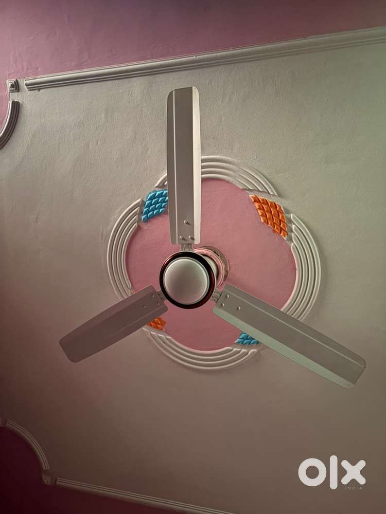 White colour fan