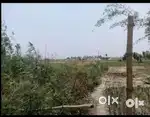 Plot for sale
