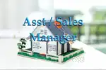 Asst / Sales Manager