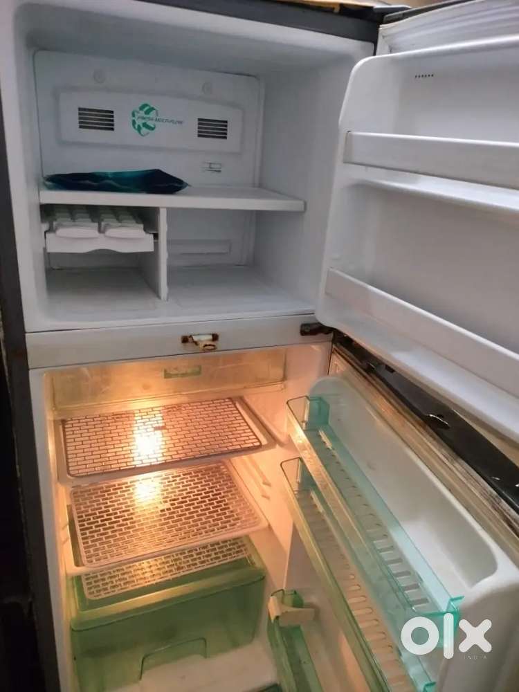 Dubal door fridge