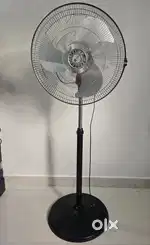 Orient electrical pedestal fan