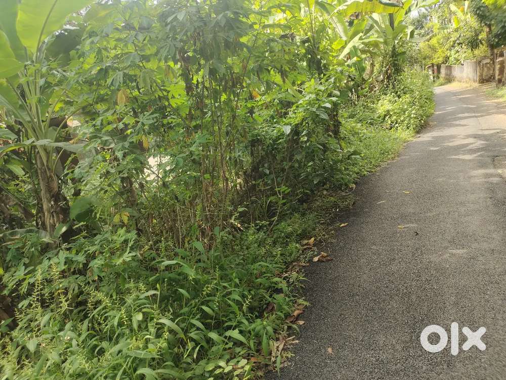 7.5 cent house plot at Elavoor