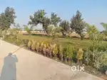 diverted plot available at sarkanda, RK nagar, mopka