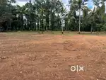 Kottayam kanjikuzhy house plots 6/8/10