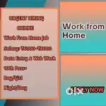 Online Data Entry Job – Work From Home - AZOIC TECHNOLOGY  S3