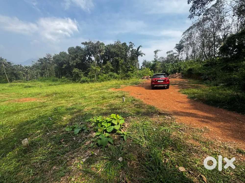 2 Plots for sale in bheemanadu...