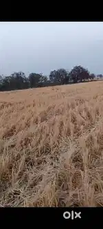 Best for farming