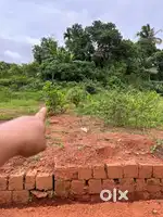8. Cent square plot for sale near pariyaram medical college