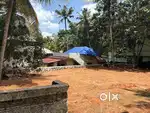 6.5 cents compound wall property near Neyyattinkara railway station