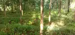 Plot for sale near kollam parippalli Medical College