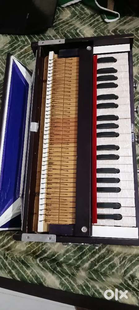 Desi Baja  harmonium