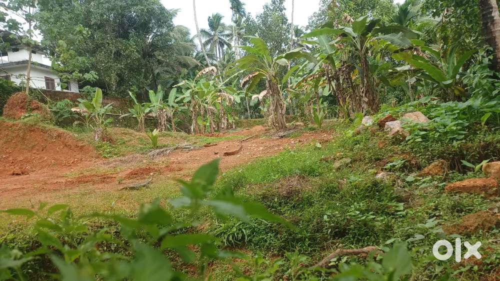 Land for sale in perambra 20 cent