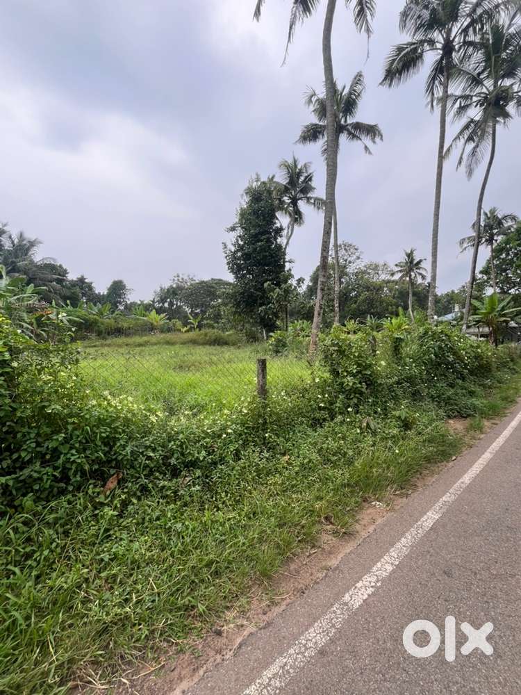 Pallikkara, Pazhanthottam (27 cents)