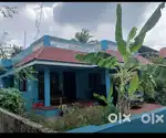 Independent 2 Bhk house  ഫാമിലി only Rent 15 k
