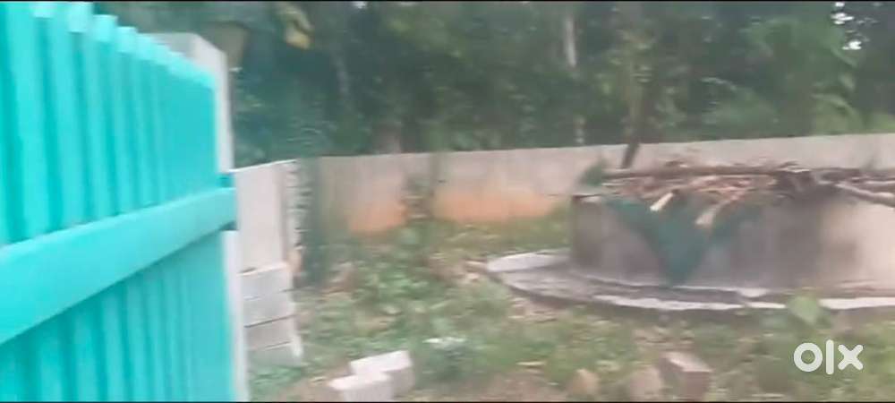 Square house plot manjapra angamaly