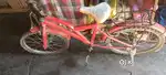 DNS BIKES 32