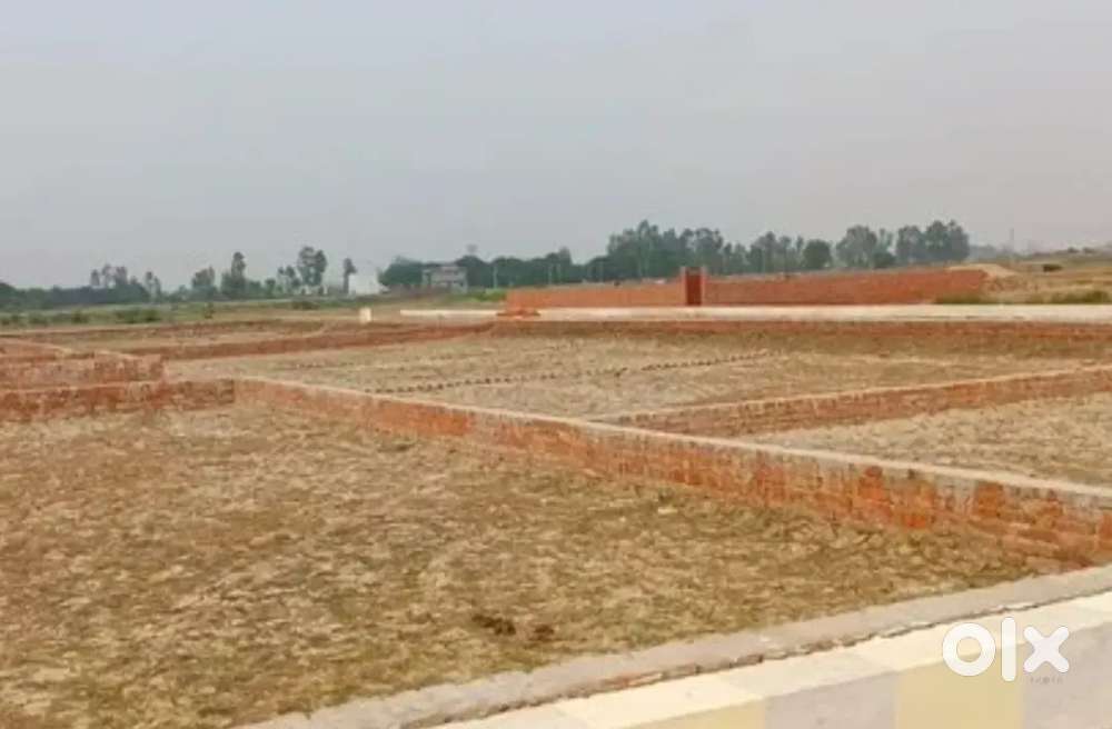 3.5 bigha kheti jameen TEHARKA railway station pe M.P