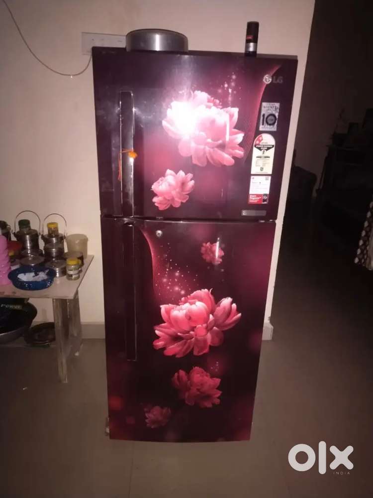 Freeze LG  2024 model