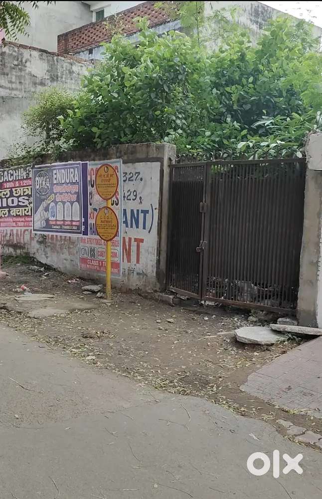 Dabouli commercial plot