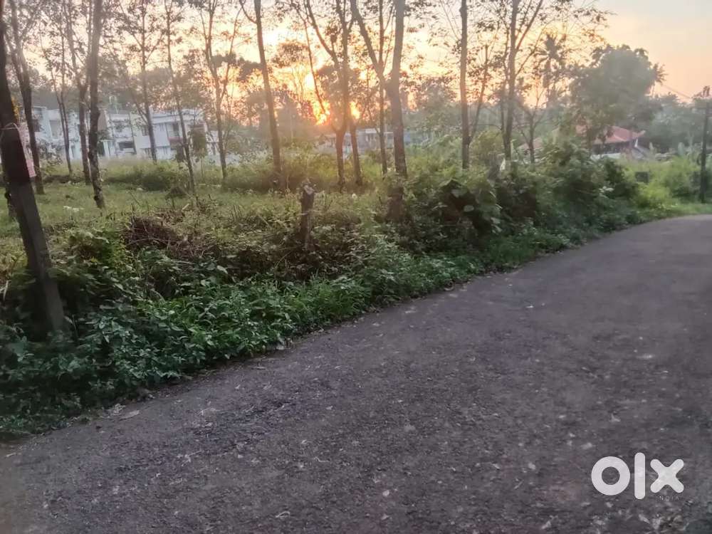 ഞാലിയാകുഴി 10 cent plot.1.75 .lakh.road front.