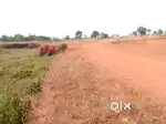 10000sqft plot for sell near delang