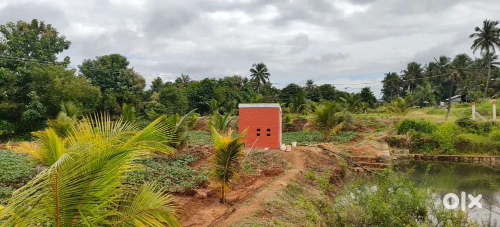 2 acres farm land for sale in kozhinjampara