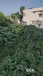 Plot For SaLe In Vidhya Vihar