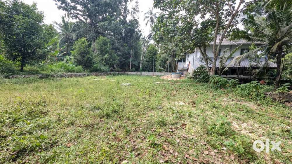 Kidagoor Angamaly 6 Cent Land  Free Reg  Airport 6 km  Doc Support