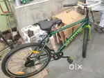 Firefox cycle