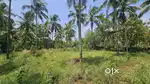 Best plot for make home .price is negotiable