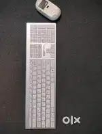 Amazon basics Wireless keyboard and mouse combo.