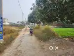 Plot behind SMS in Alok Nagar