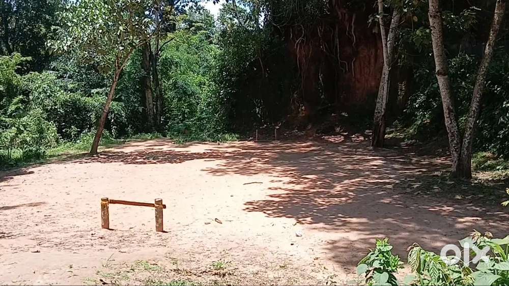 11 cent plot for sale near kadavoor temple