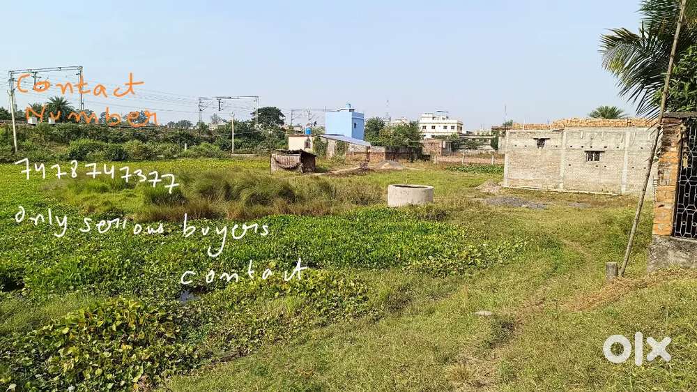 Land is located at jaglipeer near pakur railway station