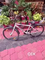 Ladies cycle