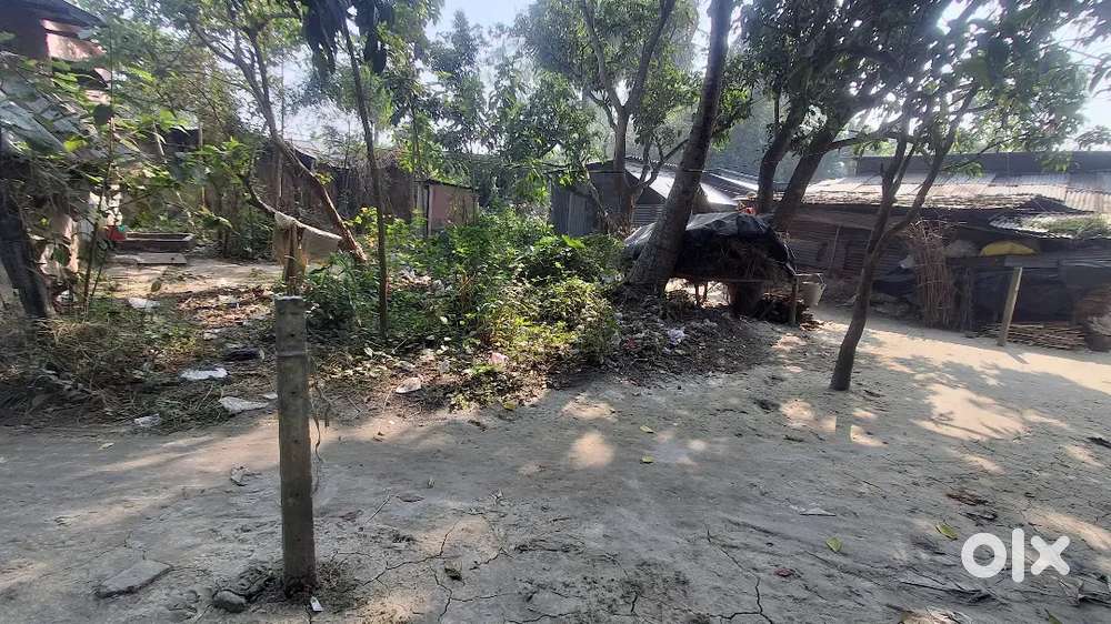 3 satak Salas,Power house back man rod theke 100 Mitar Dhalai rasta