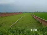 Plots For Sale