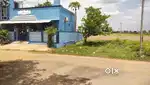 VEPPAMPATTU CORNER PLOT FOR SALE